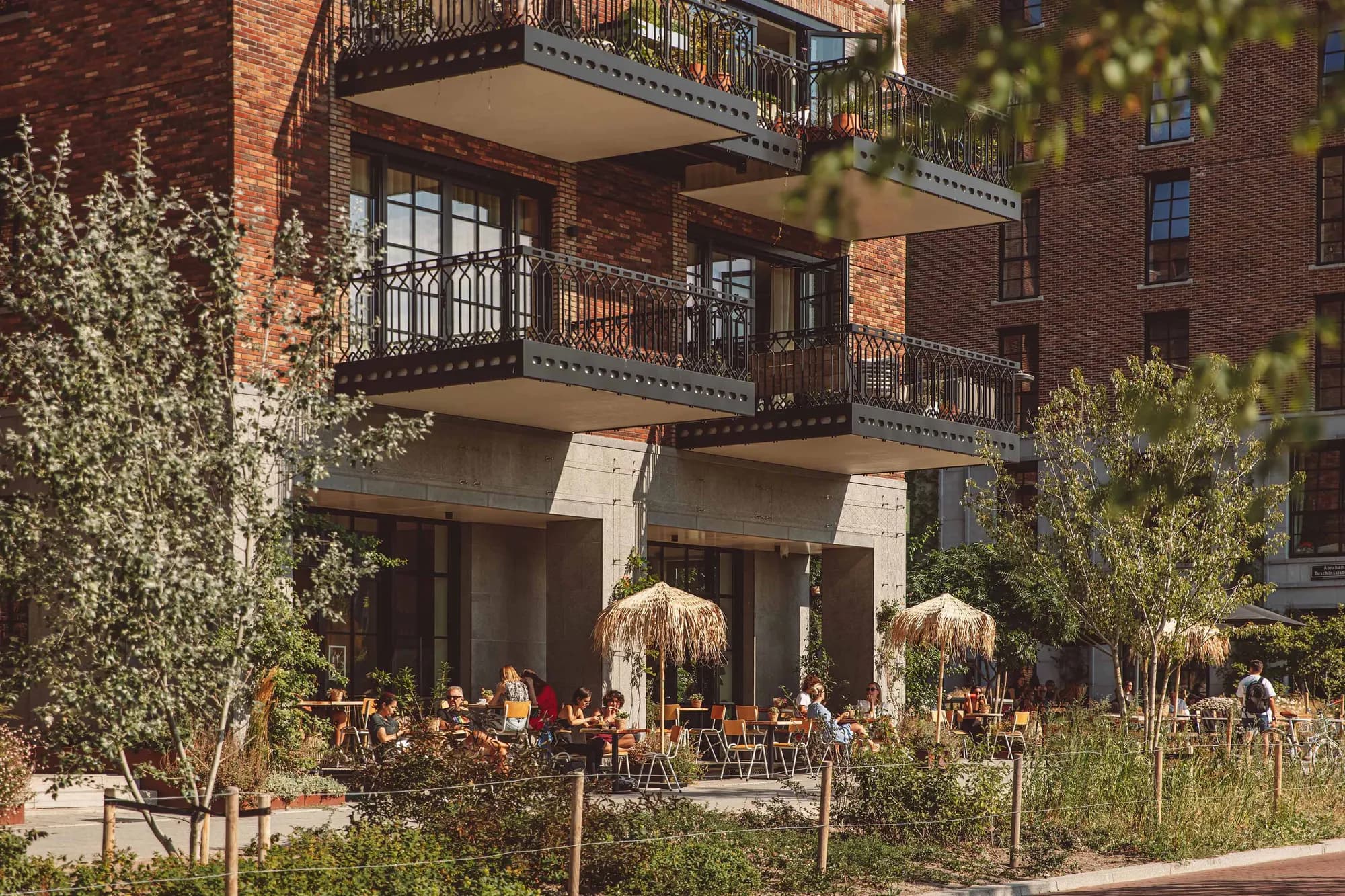 little c terras zomer